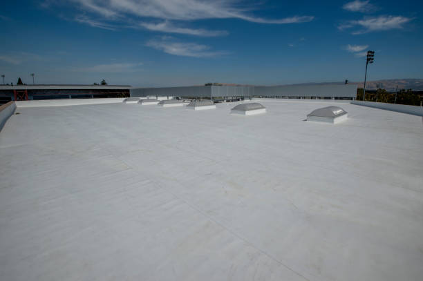 Best Gutter Installation and Repair  in Jamestown, NY