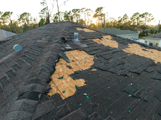Best Roof Replacement  in Jamestown, NY
